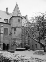 divers bourgogne (16).JPG